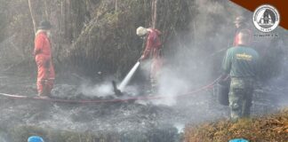 ร.151 พัน.1 ระดมกำลังร่วมหลายภาคส่วน เร่งดับไฟป่าชุมชนบ้านโพธิ์ทอง เมืองนราธิวาส ควบคุมสถานการณ์ได้สำเร็จ