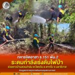 ทหารจิตอาสา ร.151 พัน.2 ระดมกำลังเร่งดับไฟป่า ช่วยชาวบ้านสวนปาล์ม ต.ไพรวัน อ.ตากใบ จ.นราธิวาส ร่วมบูรณาการทุกภาคส่วนควบคุมสถานการณ์