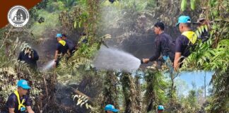 ทหารจิตอาสา ร.151 พัน.2 ระดมกำลังเร่งดับไฟป่า ช่วยชาวบ้านสวนปาล์ม ต.ไพรวัน อ.ตากใบ จ.นราธิวาส ร่วมบูรณาการทุกภาคส่วนควบคุมสถานการณ์