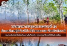 หน่วยเฉพาะกิจกรมทหารพรานที่ 42 ร่วมระงับเหตุไฟไหม้ป่าที่อำเภอมายอ จังหวัดปัตตานี ควบคุมเพลิงได้รวดเร็ว ป้องกันลุกลามพื้นที่ใกล้เคียง พร้อมรณรงค์ป้องกันไฟป่าในช่วงฤดูร้อน