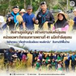 สืบสานภูมิปัญญา สร้างความเข้มแข็งชุมชน หน่วยเฉพาะกิจกรมทหารพรานที่ 41 ผนึกกำลังชุมชน จัดกิจกรรม “เกี่ยวข้าวกล้องมือลอ ของดีรามัน” สืบสานวิถีพื้นบ้าน