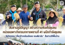 สืบสานภูมิปัญญา สร้างความเข้มแข็งชุมชน หน่วยเฉพาะกิจกรมทหารพรานที่ 41 ผนึกกำลังชุมชน จัดกิจกรรม “เกี่ยวข้าวกล้องมือลอ ของดีรามัน” สืบสานวิถีพื้นบ้าน