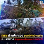 ทหาร ฝ่ายปกครอง ระดมดับไฟป่าพรุยี่งอ จ.นราธิวาส ล่าสุดยอดเสียหายกว่า 1,000 ไร่
