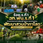 ร้อย.ร.ที่ 1 ฉก.พัน.ร.ที่ 1 ร่วมหน่วยงานภาครัฐ ผู้นำชุมชน และประชาชน พัฒนาสวนป่ากาโสด อำเภอบันนังสตา จังหวัดยะลา เตรียมความพร้อมรองรับการท่องเที่ยว