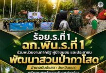 ร้อย.ร.ที่ 1 ฉก.พัน.ร.ที่ 1 ร่วมหน่วยงานภาครัฐ ผู้นำชุมชน และประชาชน พัฒนาสวนป่ากาโสด อำเภอบันนังสตา จังหวัดยะลา เตรียมความพร้อมรองรับการท่องเที่ยว