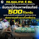 “ตัดวงจรยานรก เพื่อคืนความสงบสุขและปลอดภัยให้ชุมชน” กอ.รมน.ภาค 4 สน. บูรณาการกำลัง ขยายผลเครือข่ายยาเสพติด จับกุมผู้ต้องหาพร้อมไอซ์ 500 กิโลกรัม ซุกซ่อนในพื้นที่อำเภอสุไหงปาดี จังหวัดนราธิวาส เร่งขยายผลล้างบางทั้งเครือข่าย