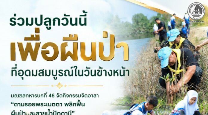 “ร่วมปลูกวันนี้ เพื่อผืนป่าที่อุดมสมบูรณ์ในวันข้างหน้า” มณฑลทหารบกที่ 46 จัดกิจกรรมจิตอาสา “ตามรอยพระเมตตา พลิกฟื้นผืนป่าและสายน้ำปัตตานี” ปลูกป่าโกงกาง ปล่อยพันธุ์ปลา สร้างจิตสำนึกอนุรักษ์สิ่งแวดล้อม