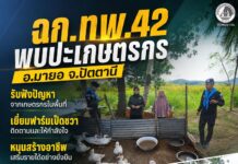 ฉก.ทพ.42 พบปะเกษตรกร อ.มายอ จ.ปัตตานี รับฟังปัญหา เยี่ยมฟาร์มเป็ดชวา หนุนสร้างอาชีพอย่างยั่งยืน