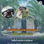 เกิดเหตุเจ้าหน้าที่ตำรวจถูกยิงเสียชีวิต 2 นาย บาดเจ็บ 2 นาย ขณะเข้าตรวจค้นเป้าหมายยาเสพติดในพื้นที่ อ.ตากใบ จ.นราธิวาส