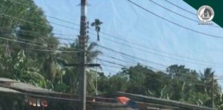 เจ้าหน้าที่เข้าควบคุมพื้นที่ตรวจสอบเหตุคนร้ายใช้อาวุธปืนก่อเหตุบริเวณ สภ.ลำใหม่ จ.ยะลา