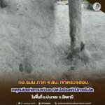 กอ.รมน.ภาค 4 สน. เข้าตรวจสอบเหตุคนร้ายก่อกวนขว้างระเบิดปิงปองเข้าไปภายในวัดในพื้นที่ อ.ปะนาเระ จ.ปัตตานี
