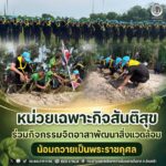 หน่วยเฉพาะกิจสันติสุข ร่วมกิจกรรมจิตอาสาพัฒนาสิ่งแวดล้อม น้อมถวายเป็นพระราชกุศล
