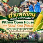 ตำบลพิเทน เปิดบ้านโชว์ของดี จัดงาน Pithen Open House and Sweet Corn Festival ชูข้าวโพดหวาน ช้างขาวงาดำ ดันอัตลักษณ์ท้องถิ่น สร้างรายได้ชุมชน