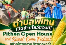 ตำบลพิเทน เปิดบ้านโชว์ของดี จัดงาน Pithen Open House and Sweet Corn Festival ชูข้าวโพดหวาน ช้างขาวงาดำ ดันอัตลักษณ์ท้องถิ่น สร้างรายได้ชุมชน