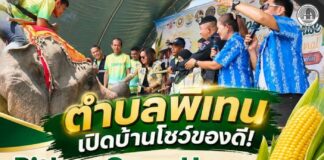 ตำบลพิเทน เปิดบ้านโชว์ของดี จัดงาน Pithen Open House and Sweet Corn Festival ชูข้าวโพดหวาน ช้างขาวงาดำ ดันอัตลักษณ์ท้องถิ่น สร้างรายได้ชุมชน