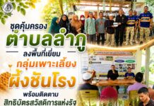 ชุดคุ้มครองตำบลลำภู ลงพื้นที่เยี่ยมกลุ่มเพาะเลี้ยงผึ้งชันโรง พร้อมติดตามสิทธิบัตรสวัสดิการแห่งรัฐ เสริมสร้างรายได้ชุมชน