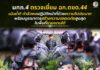 แม่ทัพภาคที่ 4 เดินทางตรวจเยี่ยม ฉก.ตชด.44 เน้นย้ำกำลังพลปฏิบัติหน้าที่ด้วยความไม่ประมาท พร้อมบูรณาการสร้างความปลอดภัยสูงสุดในพื้นที่ชายแดนใต้