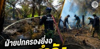 ฝ่ายปกครองยี่งอ ระดมกำลังดับไฟป่าพรุบ้านตะโละมีญอ สกัดไฟลุกลาม ลดความเสี่ยงกระทบชุมชน