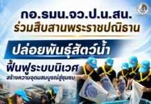 กอ.รมน.จว.ป.น. สน. ร่วมสืบสานพระราชปณิธาน ปล่อยพันธุ์สัตว์น้ำ ฟื้นฟูระบบนิเวศ สร้างความอุดมสมบูรณ์สู่ชุมชน