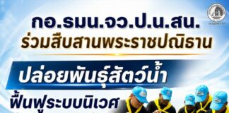กอ.รมน.จว.ป.น. สน. ร่วมสืบสานพระราชปณิธาน ปล่อยพันธุ์สัตว์น้ำ ฟื้นฟูระบบนิเวศ สร้างความอุดมสมบูรณ์สู่ชุมชน