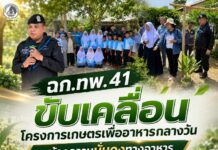 ฉก.ทพ.41 ขับเคลื่อนโครงการเกษตรเพื่ออาหารกลางวัน สร้างความมั่นคงทางอาหารตามแนวเศรษฐกิจพอเพียง