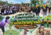 ศูนย์สันติวิธี นำจิตอาสาบ้านนาค้อใต้ ร่วมใจปลูกหญ้าแฝก สืบสานศาสตร์พระราชา ฟื้นฟูบ่อปลาหนองนลาโจ๊ด