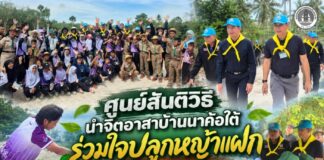 ศูนย์สันติวิธี นำจิตอาสาบ้านนาค้อใต้ ร่วมใจปลูกหญ้าแฝก สืบสานศาสตร์พระราชา ฟื้นฟูบ่อปลาหนองนลาโจ๊ด