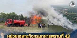 หน่วยเฉพาะกิจกรมทหารพรานที่ 43 สนธิกำลังร่วมหลายหน่วยงาน ระงับเหตุไฟป่าเสม็ดหนองจิก สำเร็จ ควบคุมสถานการณ์ได้เรียบร้อย