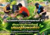 หน่วยเฉพาะกิจกรมทหารพรานที่ 47 ร่วมกับประชาชนพัฒนาศูนย์การเรียนรู้เศรษฐกิจพอเพียง ขับเคลื่อนโครงการบำบัดฟื้นฟูผู้ใช้ยาเสพติดโดยชุมชนเป็นศูนย์กลาง ในพื้นที่อำเภอกรงปินัง