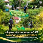หน่วยเฉพาะกิจกรมทหารพรานที่ 43 ลงพื้นที่พัฒนาวัดมุจลินทวาปีวิหาร ปรับภูมิทัศน์พระอารามหลวง ขับเคลื่อนธรรมนูญหมู่บ้าน 9 ดี