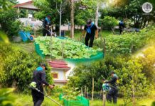 หน่วยเฉพาะกิจกรมทหารพรานที่ 43 ลงพื้นที่พัฒนาวัดมุจลินทวาปีวิหาร ปรับภูมิทัศน์พระอารามหลวง ขับเคลื่อนธรรมนูญหมู่บ้าน 9 ดี