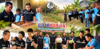ศปพร. เปิดเส้นทางอาชีพ “สะบ้าย้อย” ต่อยอดทุนท้องถิ่น เชื่อมเกษตร–ท่องเที่ยว สร้างมูลค่า เพิ่มรายได้ชุมชน
