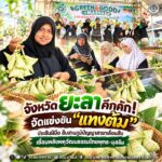 จังหวัดยะลาคึกคัก! จัดแข่งขัน “แทงต้ม” ประชันฝีมือ สืบสานภูมิปัญญาสารทเดือนสิบ เชื่อมพลังพหุวัฒนธรรมไทยพุทธ-มุสลิม