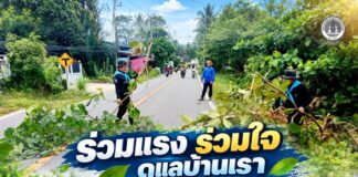 “ร่วมแรง ร่วมใจ ดูแลบ้านเรา” ชาวบาโงสะโตจับมือทหารพราน 45 พัฒนาสองข้างทาง สร้างชุมชนน่าอยู่