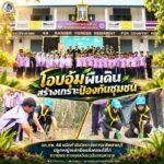 “โอบอุ้มผืนดิน สร้างเกราะป้องกันชุมชน” ฉก.ทพ. 44 ผนึกกำลังวิทยาลัยการอาชีพสายบุรี ปลูกหญ้าแฝกยึดตลิ่งคลองไส้ไก่ ถวายพระราชกุศลวันนวมินทรมหาราช