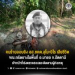 คนร้ายลอบยิง อส.ชคต.ลุโบะยิไร เสียชีวิต ขณะกรีดยางในพื้นที่ อ.มายอ จ.ปัตตานี เจ้าหน้าที่เร่งตรวจสอบและติดตามผู้ก่อเหตุ