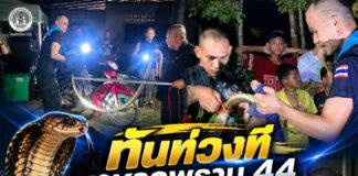 ทันท่วงที ทหารพราน 44 เข้าช่วยเหลือประชาชน ประสบเหตุงูจงอางเข้าบ้าน ปลอดภัยทั้งคนทั้งงู
