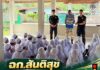 ฉก.สันติสุข ลงพื้นที่ตาดีกาอำเภอนาทวี จัดกิจกรรม “ครูช่วยสอน” เสริมสร้างวินัยจราจร